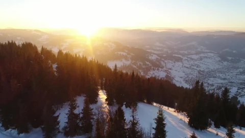 Free Video Stock Snowy Mountain Pine Trees Receiving The Sun Live Wallpaper - Free Live Wallpaper