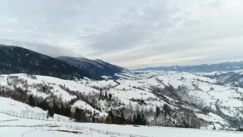 Free Video Stock Snowy Mountain Range With Pine Trees From Above Live Wallpaper - Free Live Wallpaper