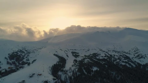 Free Video Stock Snowy Mountain With Pine Trees And Mist Overhead Live Wallpaper - Free Live Wallpaper