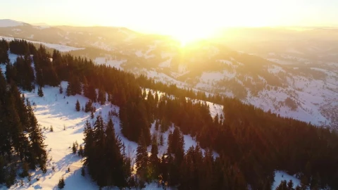 Free Video Stock Snowy Mountains With Pine Trees During Sunrise Live Wallpaper - Free Live Wallpaper