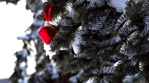 Free Video Stock Snowy Pine With Heart Decoration Live Wallpaper - Free Live Wallpaper