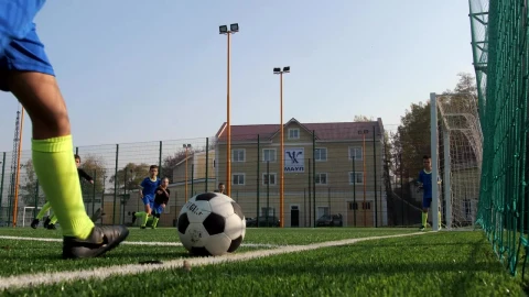 Free Video Stock Soccer Players Scoring A Goal Live Wallpaper - Free Live Wallpaper