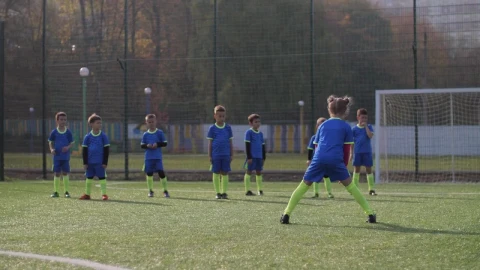 Free Video Stock Soccer Players Stretching During Training Live Wallpaper - Free Live Wallpaper