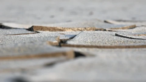 Free Video Stock Soil Cracks Close Up Live Wallpaper - Free Live Wallpaper
