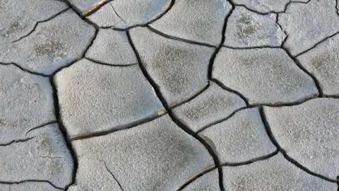 Free Video Stock Soil Mudcracks From Drought Live Wallpaper - Free Live Wallpaper