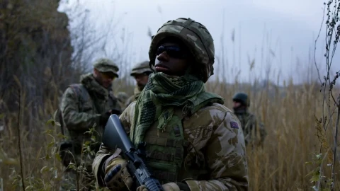 Free Video Stock Soldier With Sunglasses Standing On The Field Live Wallpaper - Free Live Wallpaper
