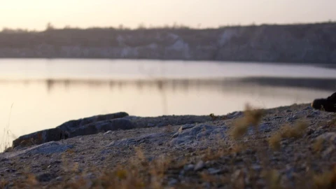 Free Video Stock Soldiers Walkign By The Lake Live Wallpaper - Free Live Wallpaper