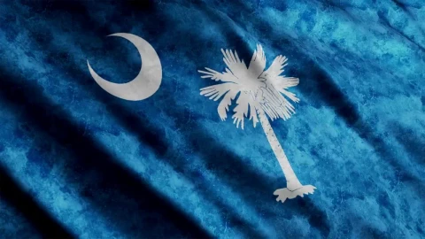 Free Video Stock South Carolina Flag In United States Of America Live Wallpaper - Free Live Wallpaper