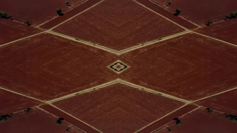 Free Video Stock Sowing Red Ground Live Wallpaper - Free Live Wallpaper
