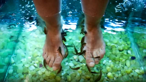 Free Video Stock Spa Foot Treatment Live Wallpaper - Free Live Wallpaper
