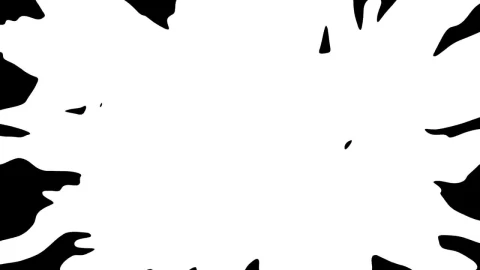Free Video Stock Spill And Growth Transition Live Wallpaper - Free Live Wallpaper