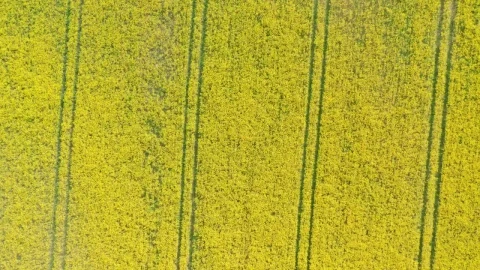 Free Video Stock Spinning Footage Of A Farm Live Wallpaper - Free Live Wallpaper