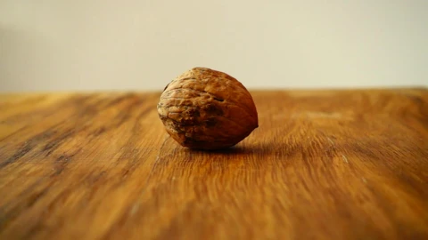 Free Video Stock Splitting A Walnut With A Hammer Live Wallpaper - Free Live Wallpaper