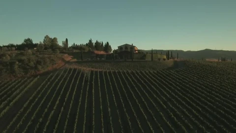 Free Video Stock Spraying Crops Live Wallpaper - Free Live Wallpaper