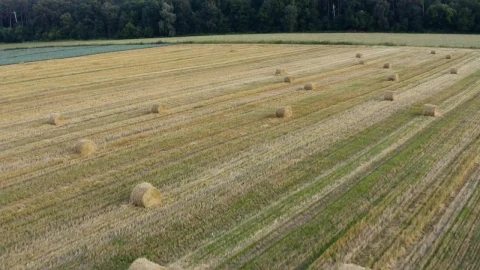 Free Video Stock Stacks Of Hay On The Field Live Wallpaper - Free Live Wallpaper