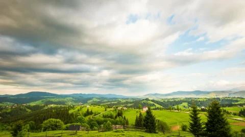 Free Video Stock Static Shot In A Big Meadow Live Wallpaper - Free Live Wallpaper