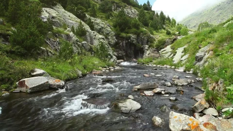 Free Video Stock Static Shot Of A Stream In A Forest Live Wallpaper - Free Live Wallpaper