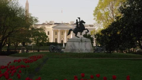Free Video Stock Statue And Cannons Outside The White House Live Wallpaper - Free Live Wallpaper