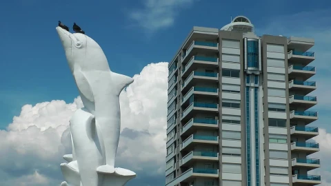 Free Video Stock Statue Of A Dolphin In The City Live Wallpaper - Free Live Wallpaper