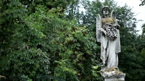 Free Video Stock Statue Of An Angel Live Wallpaper - Free Live Wallpaper