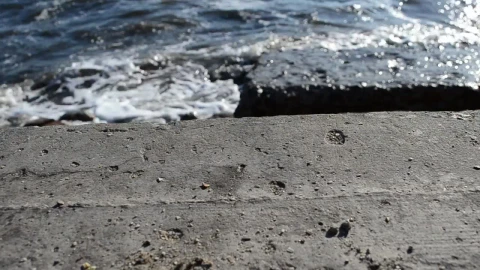 Free Video Stock Stone Slabs By The Coast Live Wallpaper - Free Live Wallpaper