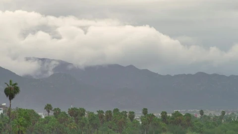 Free Video Stock Stormy Day At Beach Live Wallpaper - Free Live Wallpaper