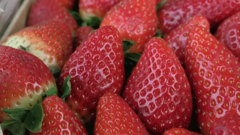 Free Video Stock Strawberries In A Market Tray Live Wallpaper - Free Live Wallpaper