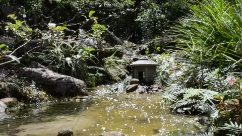 Free Video Stock Stream Flowing Gently Live Wallpaper - Free Live Wallpaper