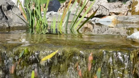 Free Video Stock Stream Flowing Over Rocks Live Wallpaper - Free Live Wallpaper