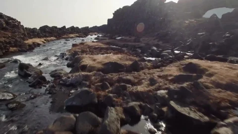 Free Video Stock Stream Flowing Through Moss Live Wallpaper - Free Live Wallpaper