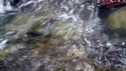 Free Video Stock Stream In Slow Motion Live Wallpaper - Free Live Wallpaper