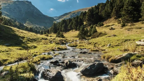 Free Video Stock Stream Through A Beautiful Valley Live Wallpaper - Free Live Wallpaper