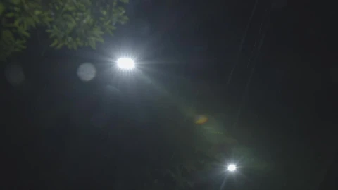 Free Video Stock Street Lamps At Night Live Wallpaper - Free Live Wallpaper