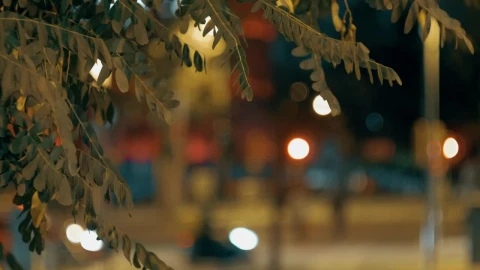 Free Video Stock Street Lights Late At Night Live Wallpaper - Free Live Wallpaper
