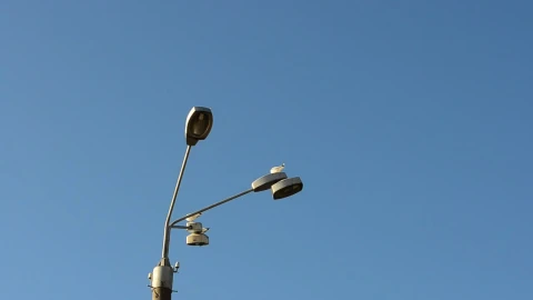 Free Video Stock Street Lights With Cctv Live Wallpaper - Free Live Wallpaper