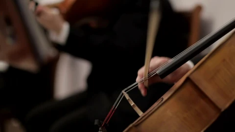 Free Video Stock String Orchestra Live Wallpaper - Free Live Wallpaper