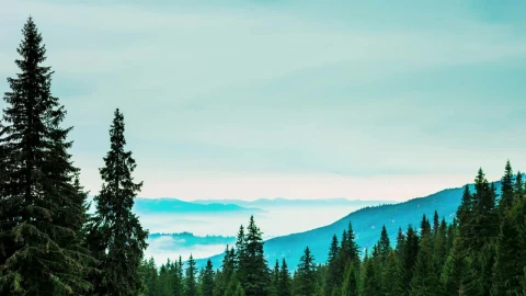 Free Video Stock Strong Winter In The Mountains Live Wallpaper - Free Live Wallpaper
