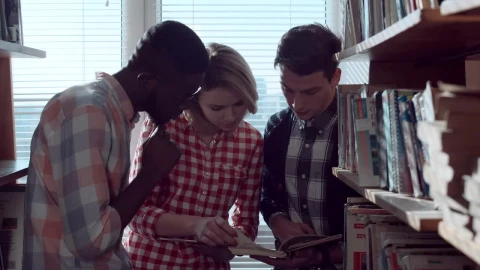 Free Video Stock Students Are Discussing Books In The Library Live Wallpaper - Free Live Wallpaper