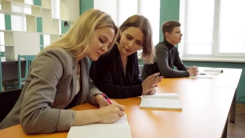 Free Video Stock Students Sharing Notes Live Wallpaper - Free Live Wallpaper