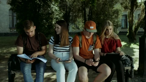 Free Video Stock Students Studying On A Bench Live Wallpaper - Free Live Wallpaper