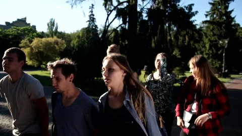Free Video Stock Students Walking Outside College Live Wallpaper - Free Live Wallpaper