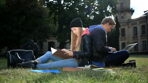 Free Video Stock Students Working On Campus Live Wallpaper - Free Live Wallpaper