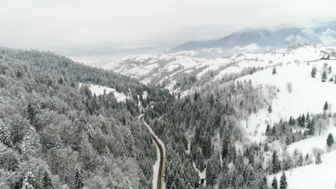 Free Video Stock Stunning Frozen Landscape In The Woods Live Wallpaper - Free Live Wallpaper