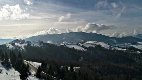 Free Video Stock Stunning Landscape Over A Cold Forest Live Wallpaper - Free Live Wallpaper