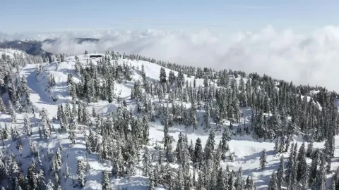 Free Video Stock Stunning View On Top Of A Mountain Live Wallpaper - Free Live Wallpaper