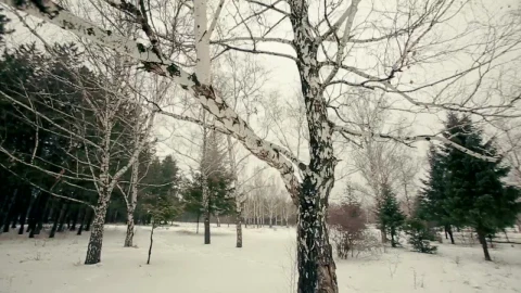 Free Video Stock Stylish Man Walking In The Snow Live Wallpaper - Free Live Wallpaper