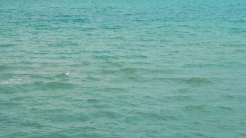 Free Video Stock Summer At A Beautiful Beach Live Wallpaper - Free Live Wallpaper