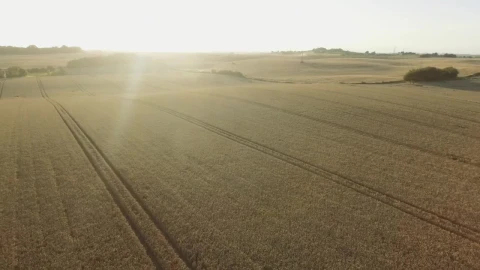 Free Video Stock Summer At The Farm Live Wallpaper - Free Live Wallpaper