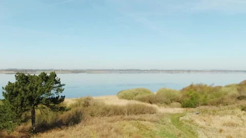 Free Video Stock Summer By The Lake Live Wallpaper - Free Live Wallpaper