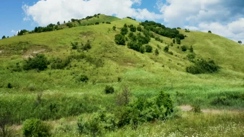 Free Video Stock Summer Fields Covering A Mountain Live Wallpaper - Free Live Wallpaper